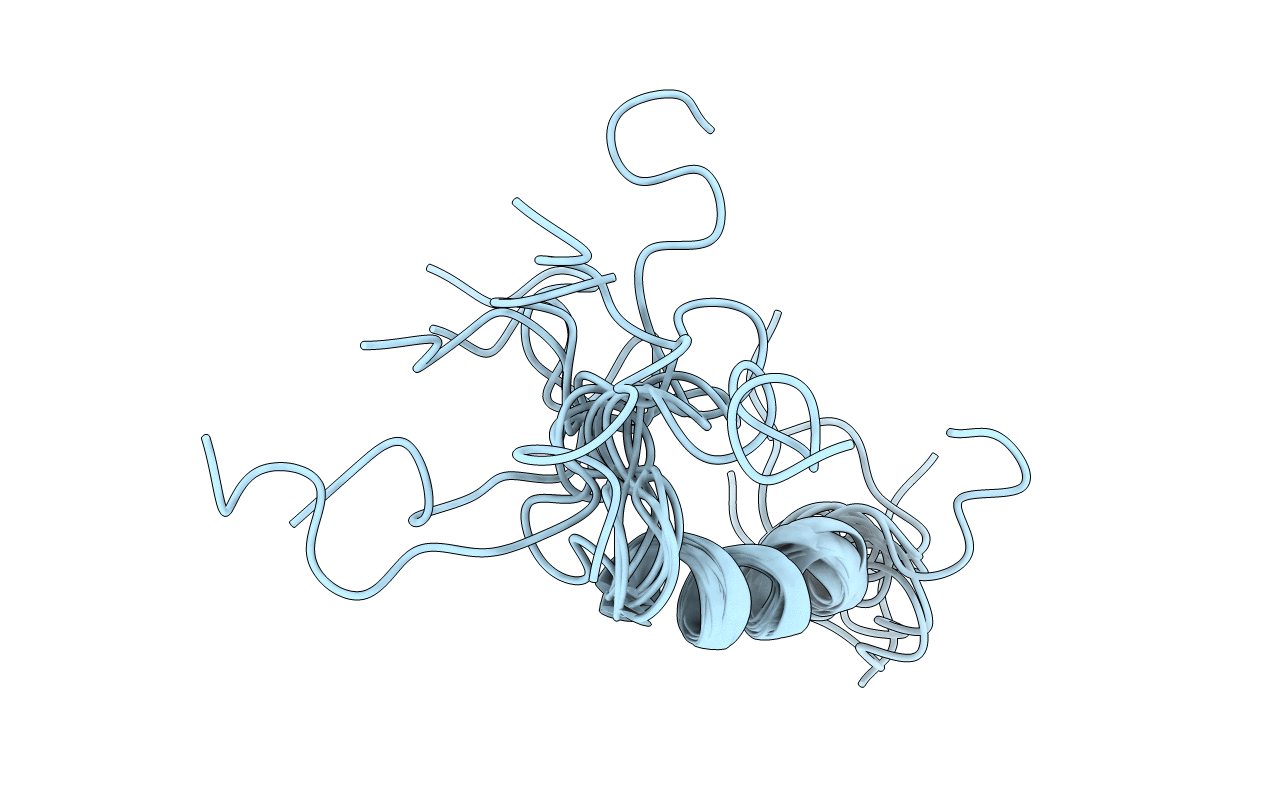 1ZWD image