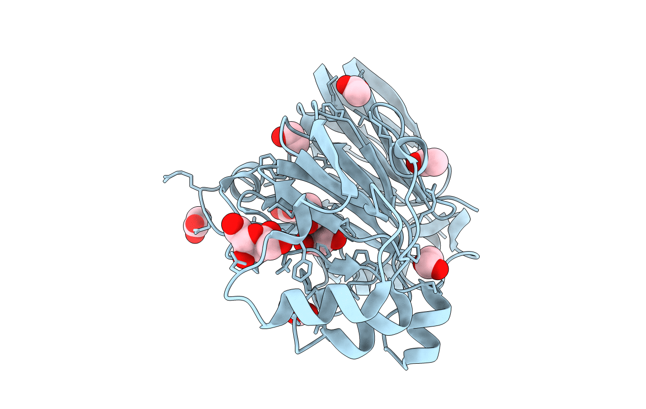 1ZX5 image