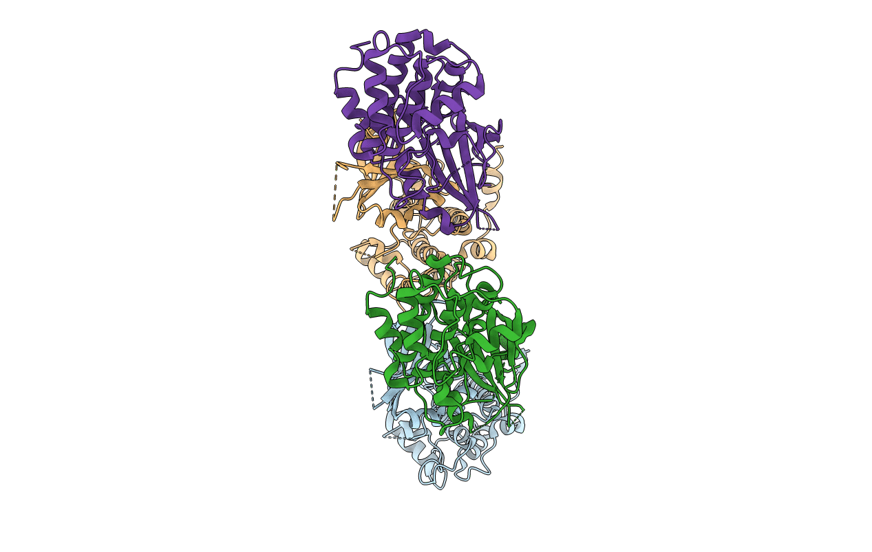 1ZYC image