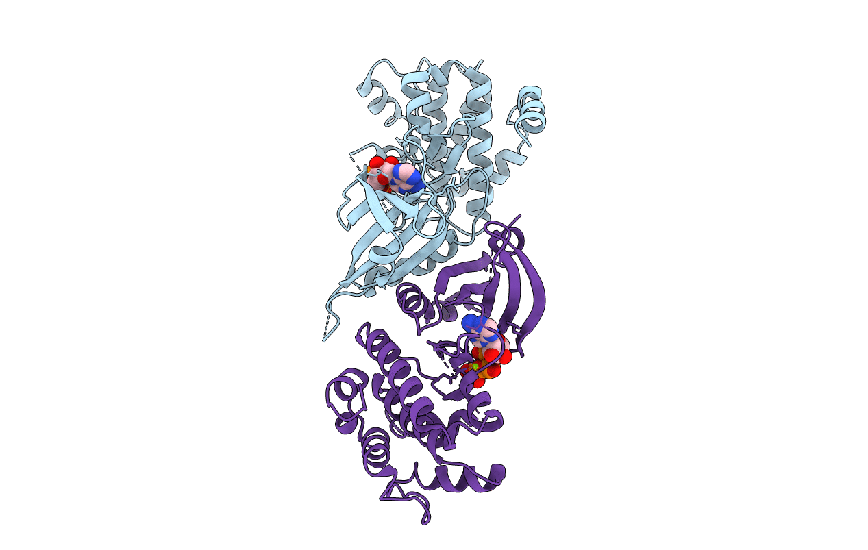 1ZYD image