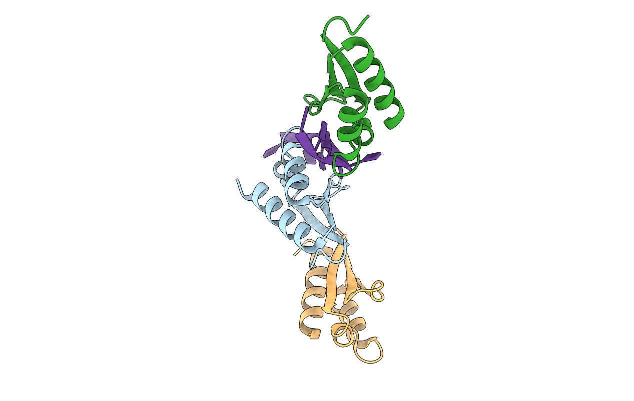 1ZZJ image