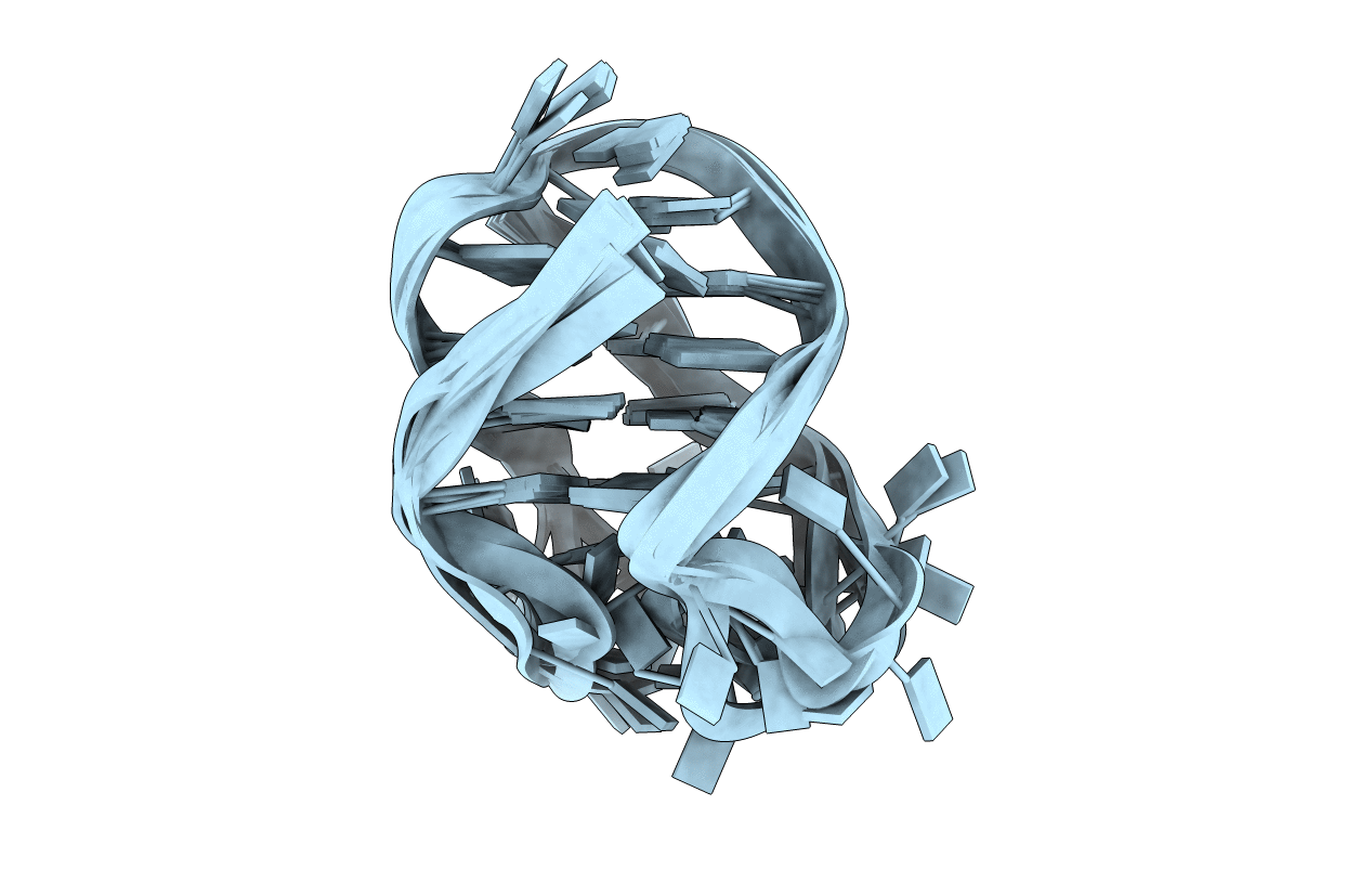 201D image