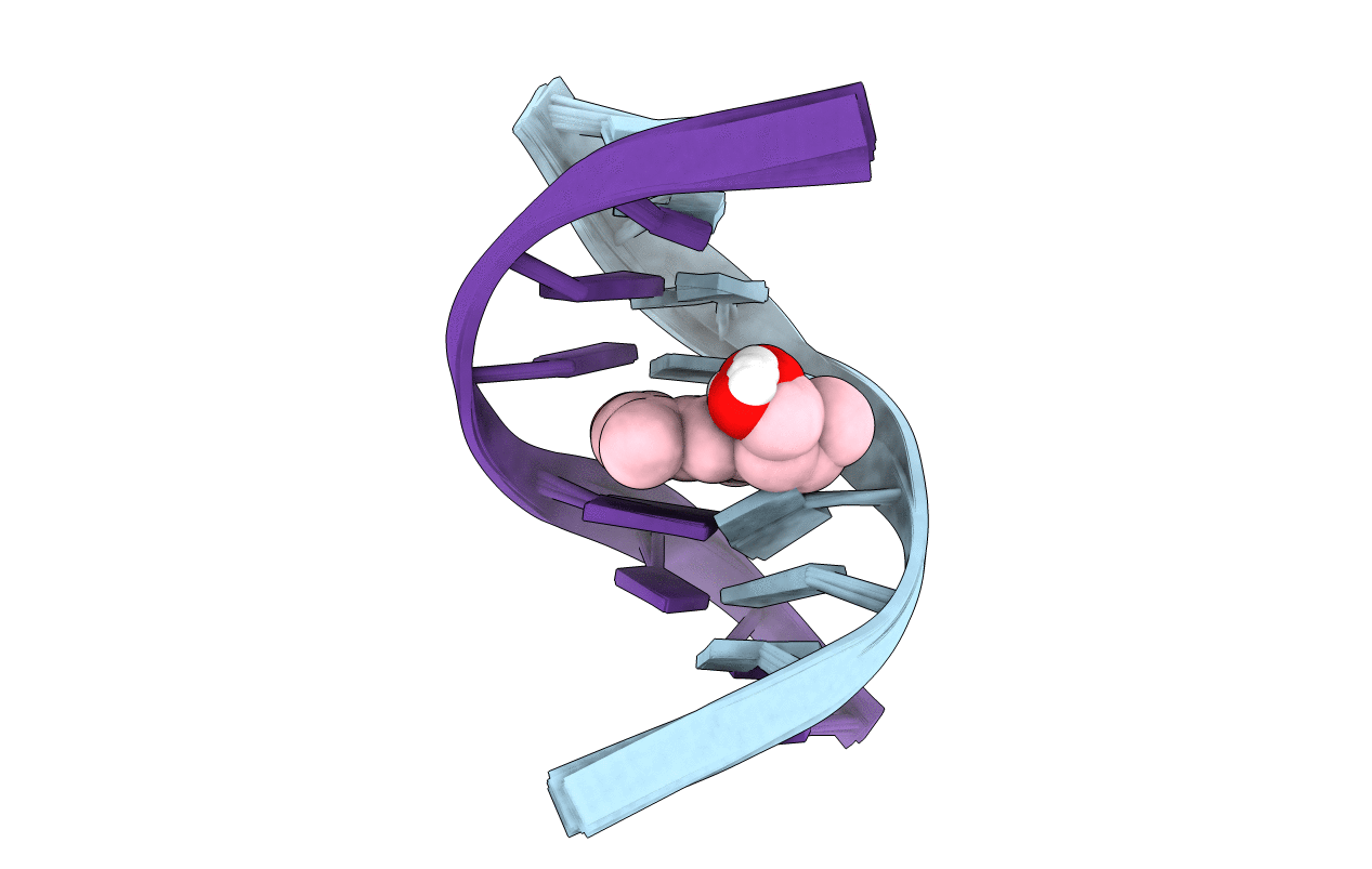 203D image