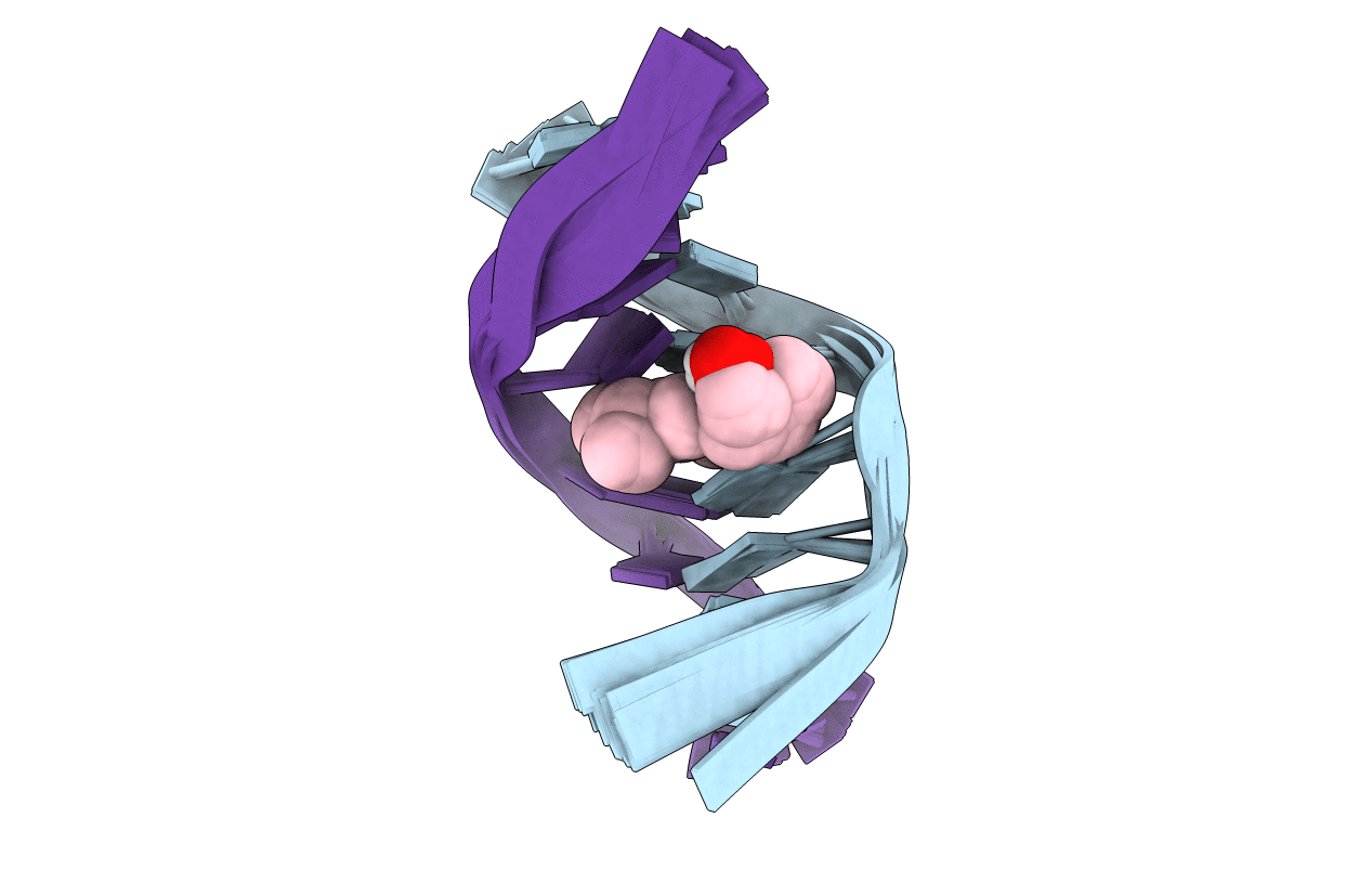 204D image