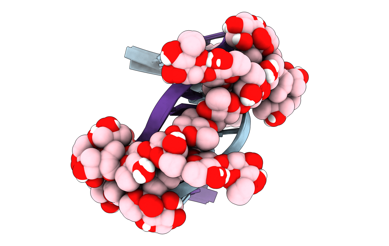 207D image