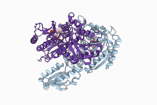 20XT image