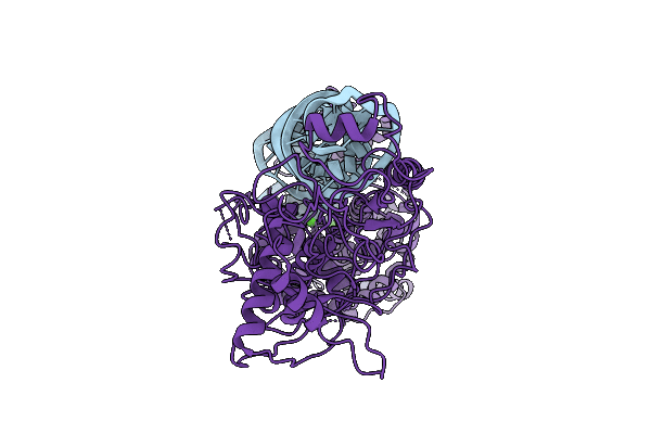 21CN image