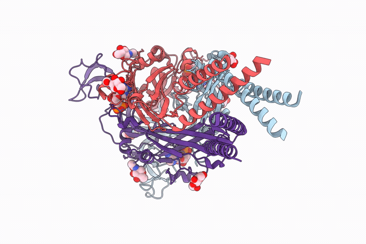 21DX image