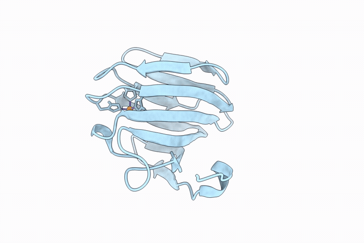 21EK image
