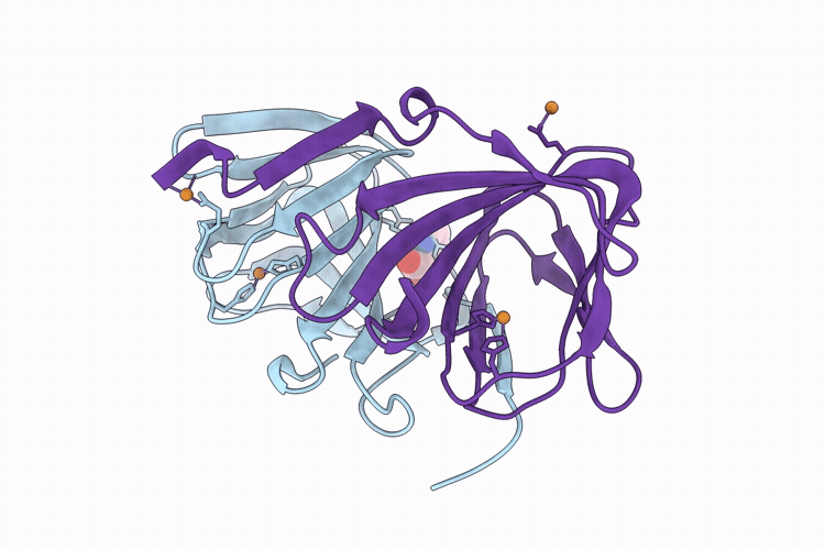21EM image