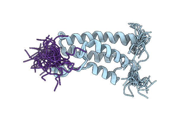 21GE image