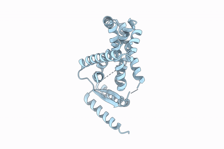 21GI image
