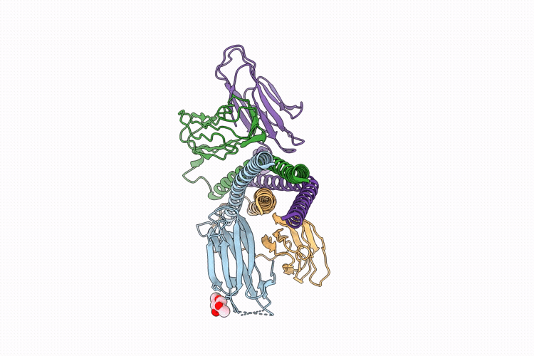 21GM image