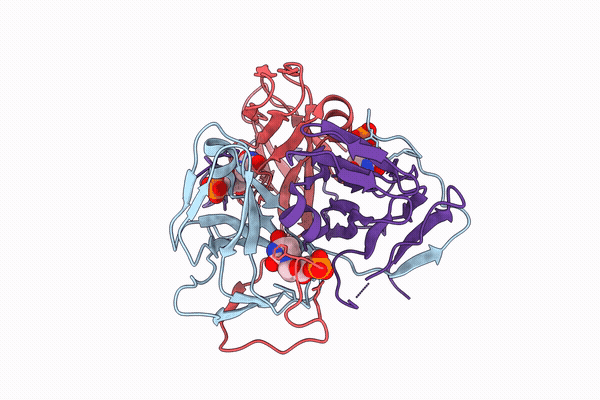 21HL image