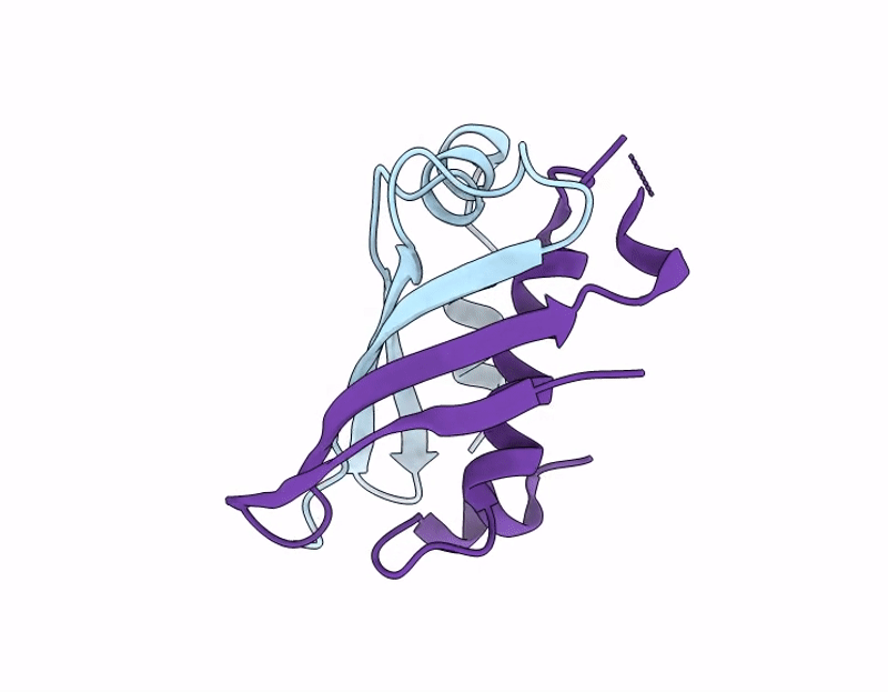 21IP image