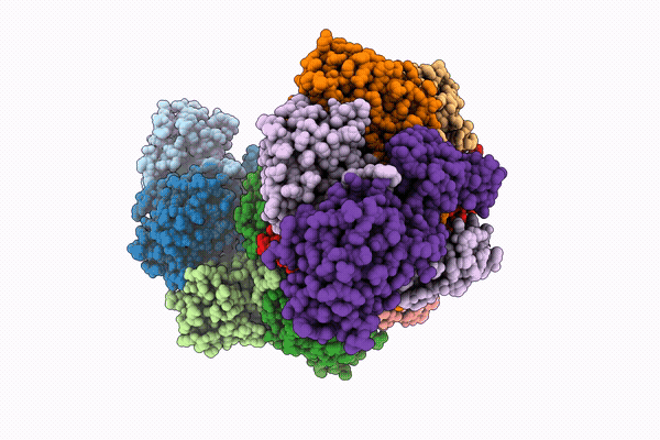 21RJ image
