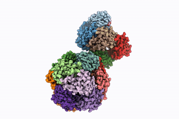 21TR image