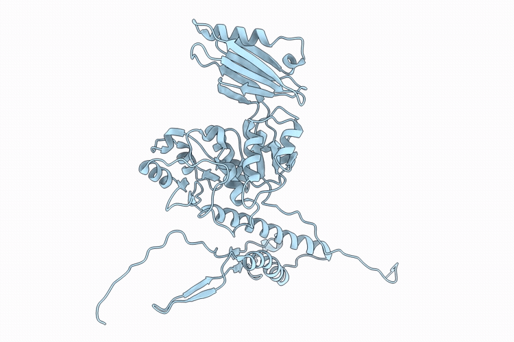21WL image