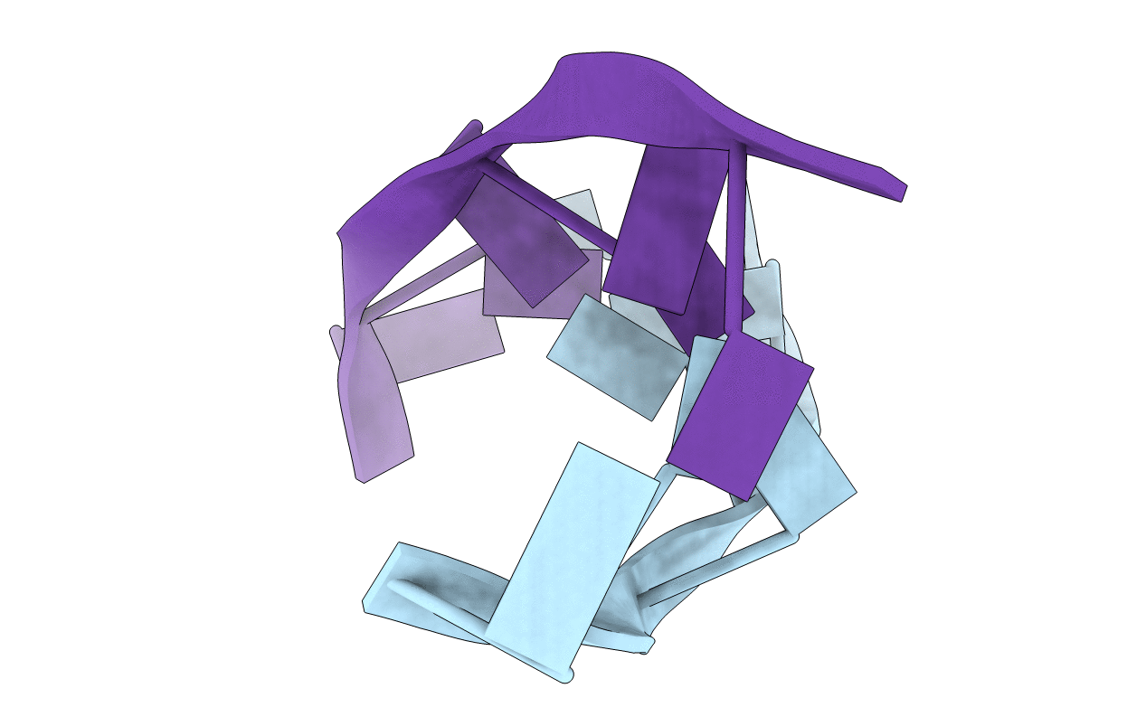 223D image