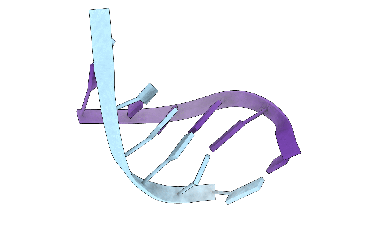 224D image