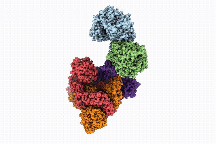 22DX image