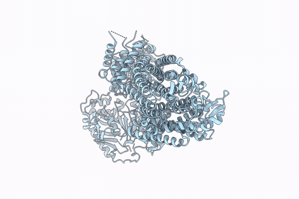 22FR image