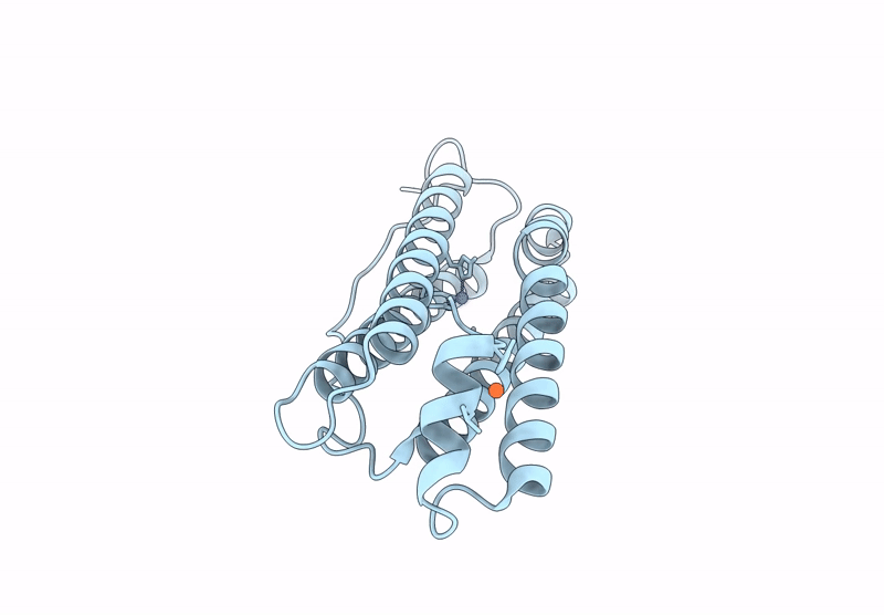 22FX image
