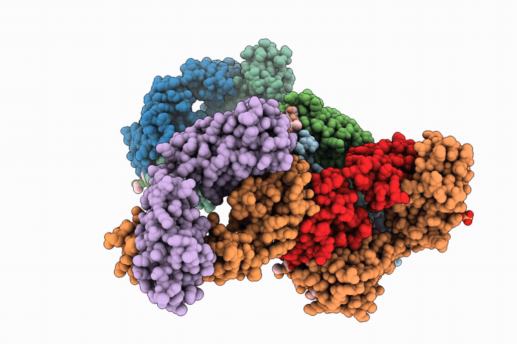 22GI image
