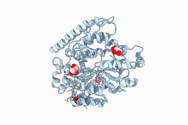 22HL image