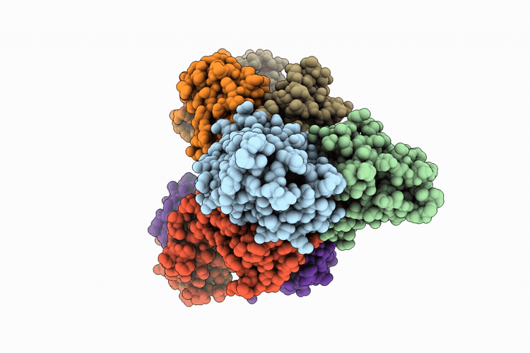 22LL image