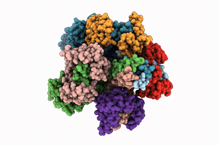 22RJ image