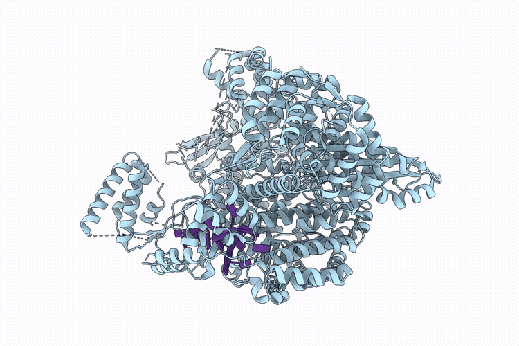 22TR image