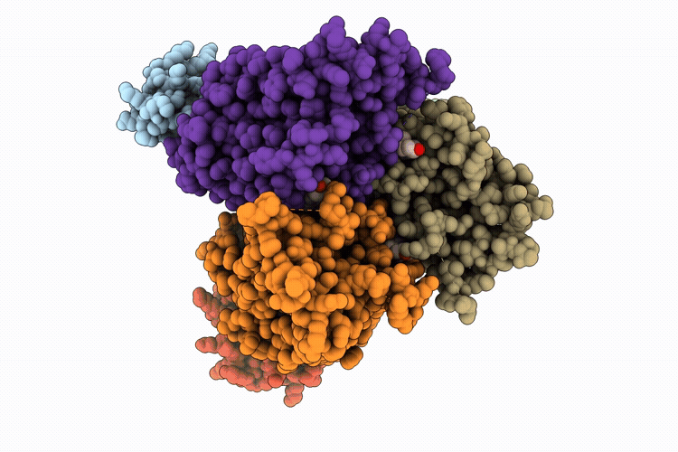 22XC image
