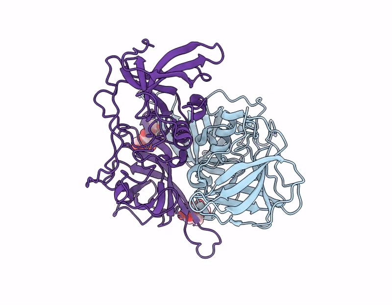 22XH image