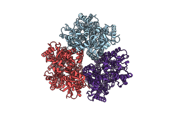 22XM image