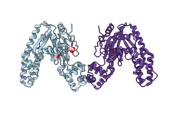 22YZ image