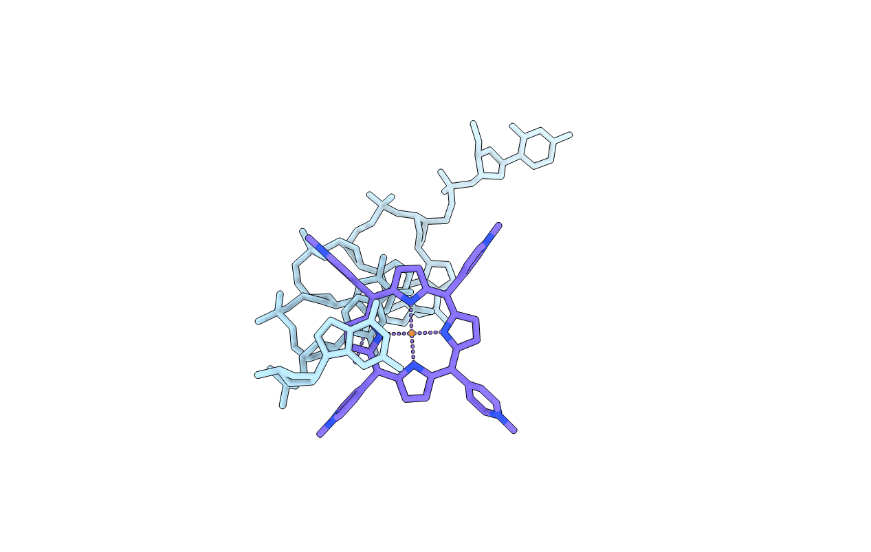 231D image