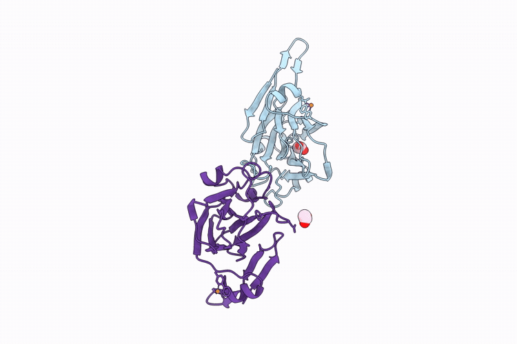 23EF image