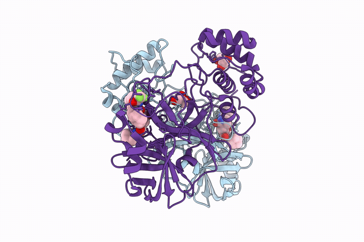 23MI image