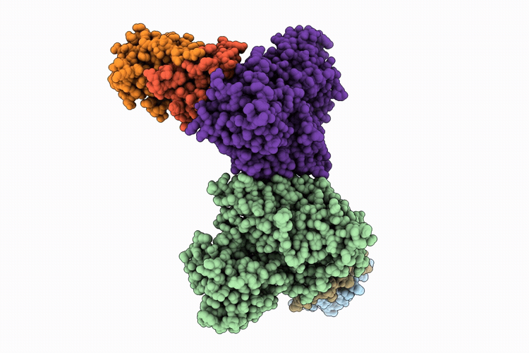 23NX image