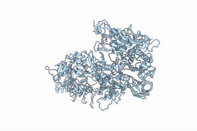 23PX image