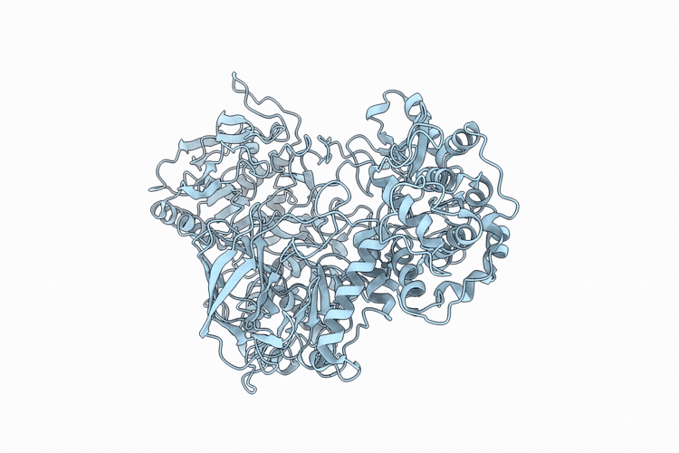 23PY image