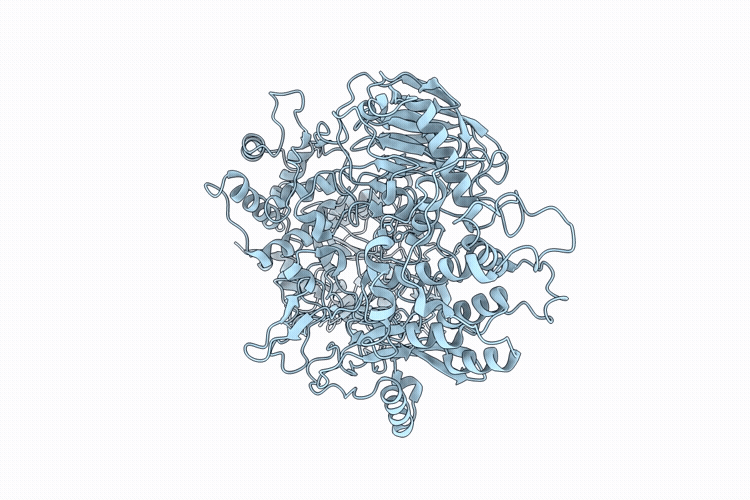 23PZ image