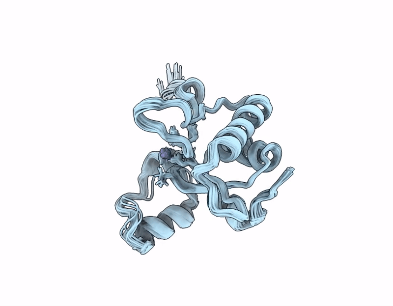23RI image