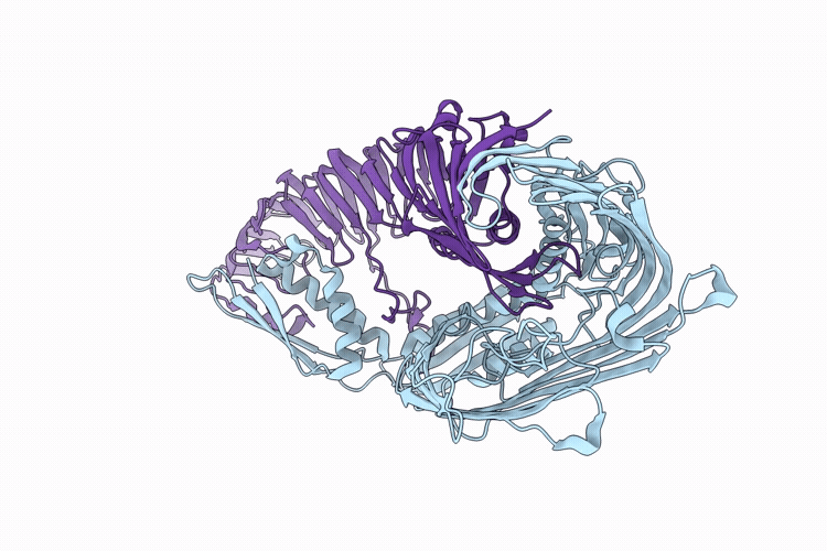 23SP image