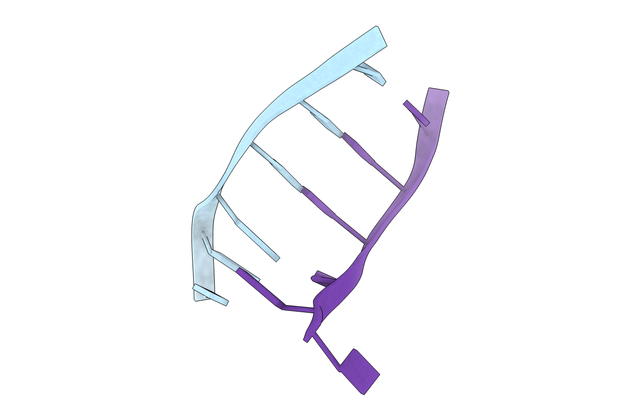 241D image
