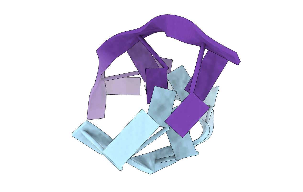 242D image