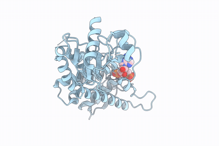 24BL image