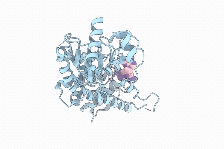 24BQ image
