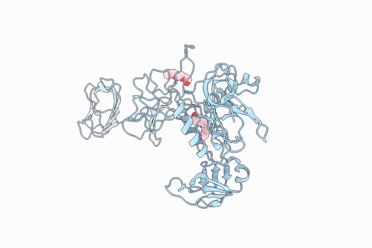 24QJ image